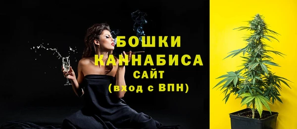 амф Гусиноозёрск