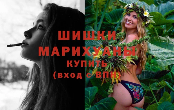 амф Гусиноозёрск