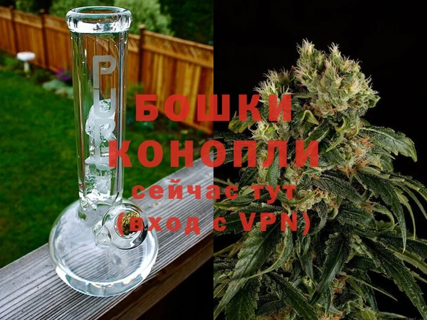 амф Гусиноозёрск
