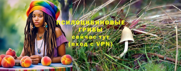 молекула духа Гусь-Хрустальный