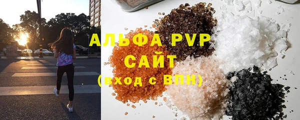 амф Гусиноозёрск
