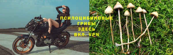 амф Гусиноозёрск