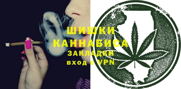 амф Гусиноозёрск