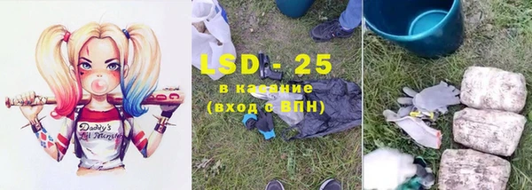 амф Гусиноозёрск