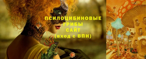 скорость Гусев