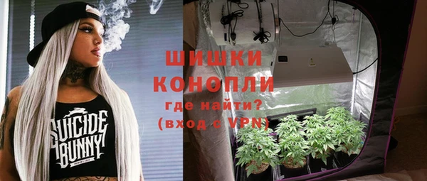 амф Гусиноозёрск