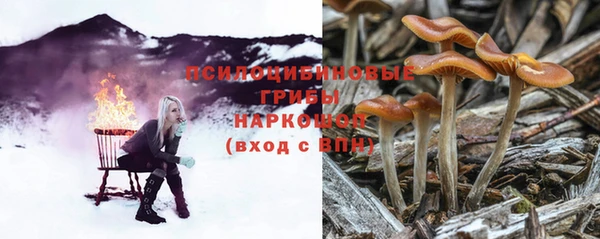молекула духа Гусь-Хрустальный