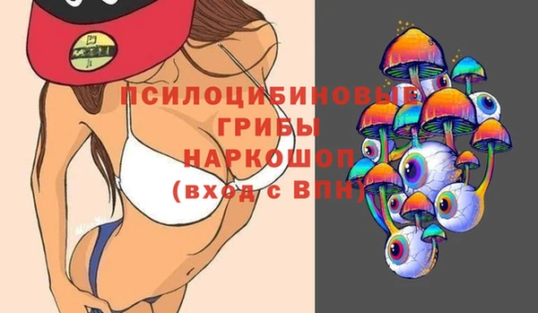 амф Гусиноозёрск