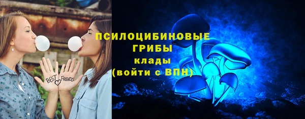 амф Гусиноозёрск