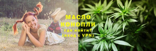скорость Гусев