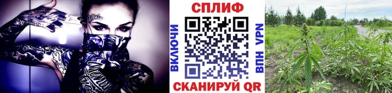 Бошки Шишки Amnesia  Купить закладки  Краснообск 